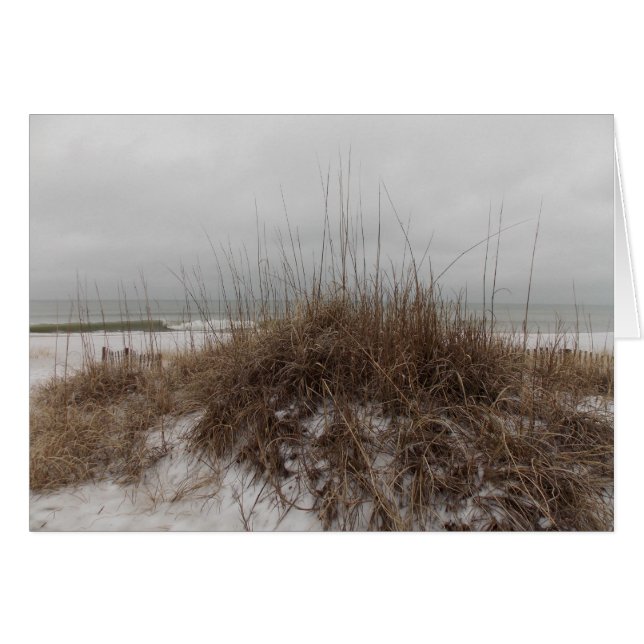 Winter Dunes (Vorderseite (Horizontal))