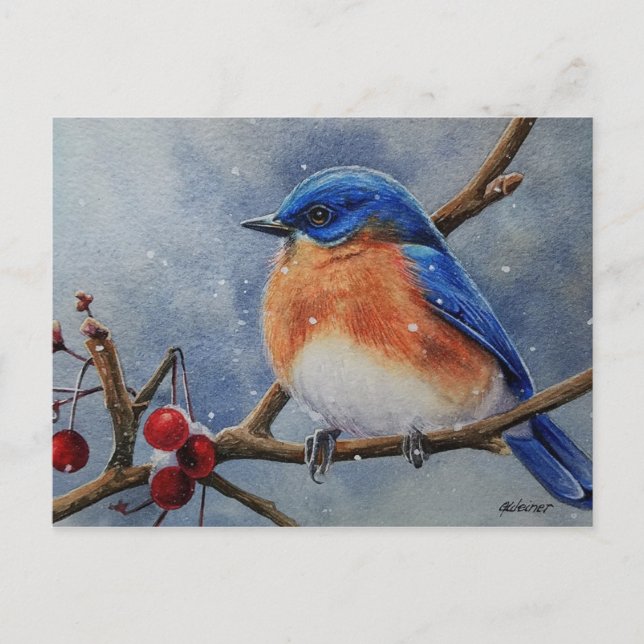 Winter Eastern Bluebird & Berries Postkarte (Vorderseite)