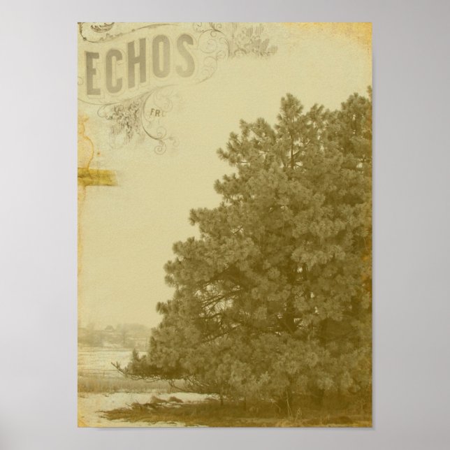Winter Echos Poster (Vorne)