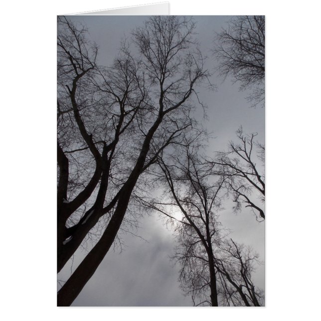Winter-Einsamkeit (Vorne)