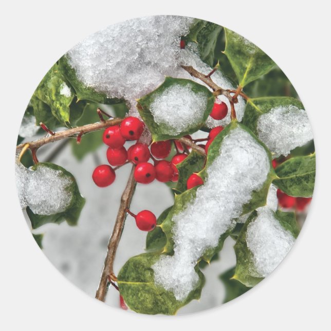 Winter - eisbeschichtet Holly Runder Aufkleber (Vorderseite)