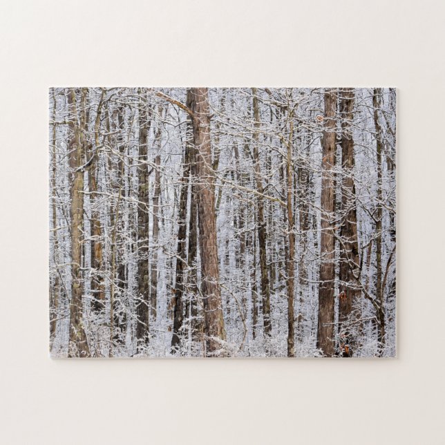 Winter-Eissturm im Wald - 11 x 14 Zoll Puzzle (Horizontal)