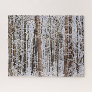 Winter-Eissturm im Wald - 16x20 Zoll Puzzle