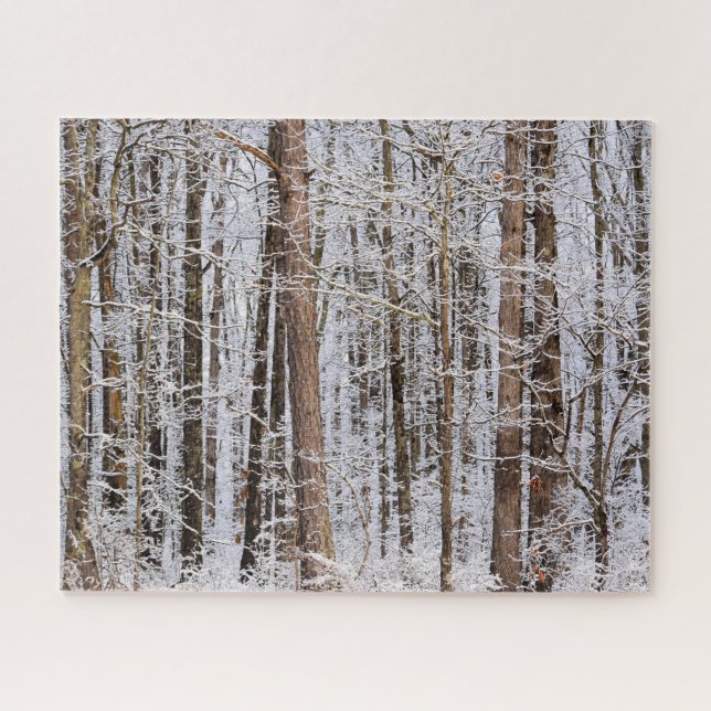 Winter-Eissturm im Wald - 16x20 Zoll Puzzle (Horizontal)