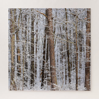 Winter-Eissturm im Wald - 20x20 Zoll Puzzle