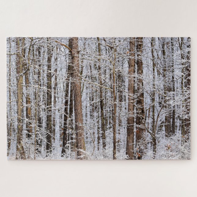 Winter-Eissturm im Wald - 20x30 Zoll Puzzle (Horizontal)