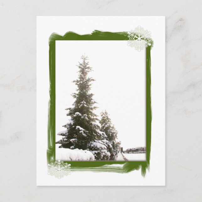 Winter Evergreens-DIY Postkarte (Vorderseite)