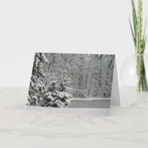 Winter Evergreens Notecard Karte