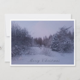 Winter Forest Christmas Card Feiertagskarte