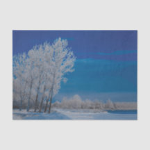 Winter Forest Trees Snow Blue Sky Nature