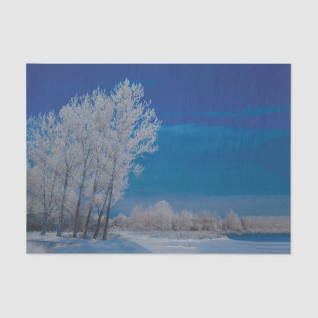 Winter Forest Trees Snow Blue Sky Nature Seidenpapier (Vorderseite)