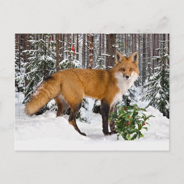 "Winter Fox" Urlaubspostkarte Postkarte (Vorderseite)