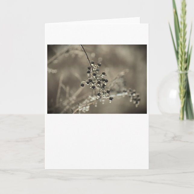 Winter Freeze, Karte (Vorderseite)