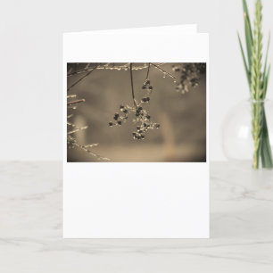 Winter Freeze, Karte