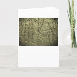 Winter Freeze, Karte