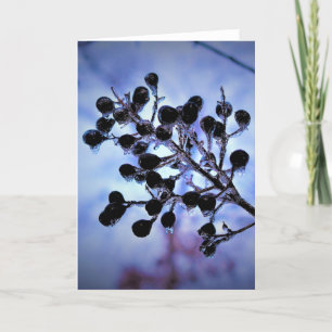 Winter Freeze, Karte