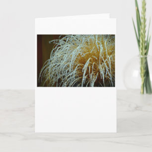 Winter Freeze, Karte