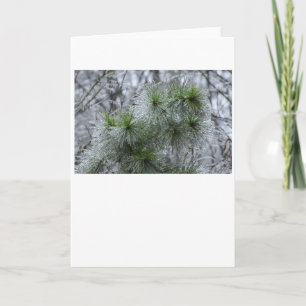 Winter Freeze, Karte