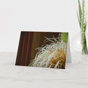 Winter Freeze, Karte