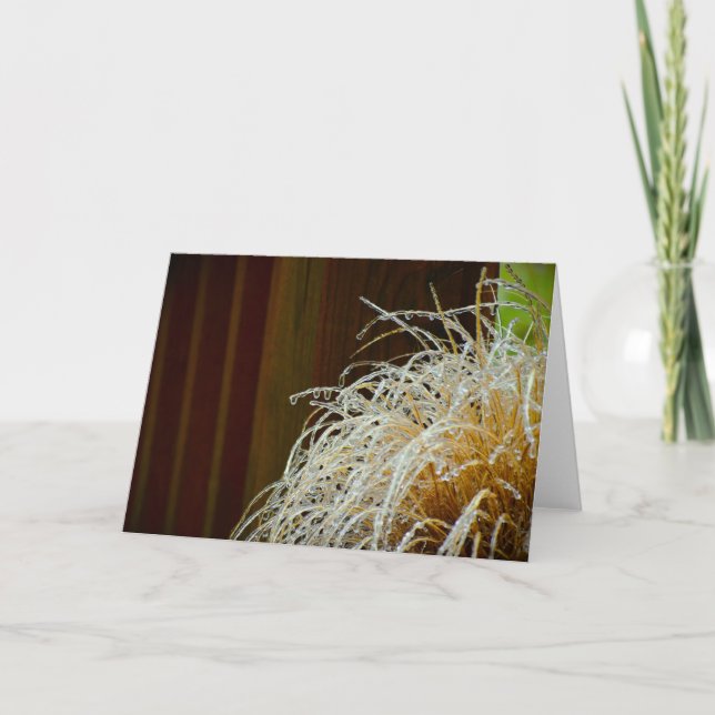 Winter Freeze, Karte (Vorderseite)