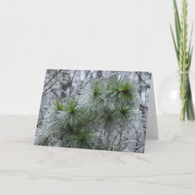 Winter Freeze, Karte (Vorderseite)