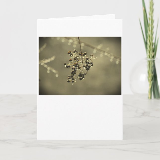 Winter Freeze, Karte (Vorderseite)