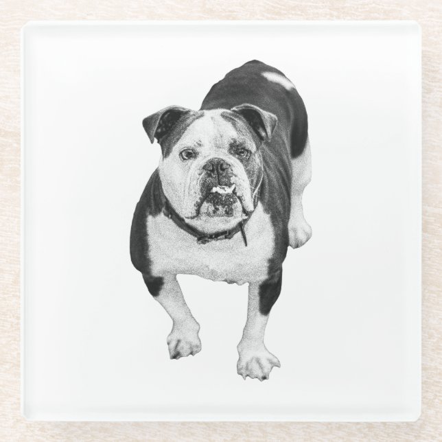 Winter-Freund, Bulldog-Getränkuntersetzer Glasuntersetzer (Vorderseite)
