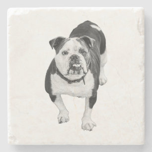 Winter-Freund, Bulldog-Unterlage Steinuntersetzer
