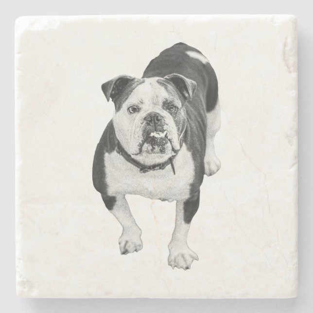 Winter Friend, Bulldog Coaster Steinuntersetzer (Vorderseite)