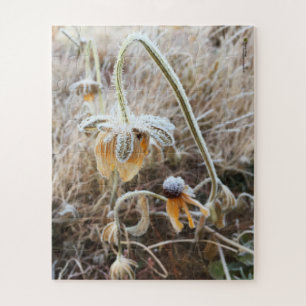 Winter Frost Wilted Rudbeckia Blooms Fotografie Puzzle