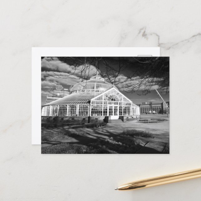 Winter Gardens, People's Palace, Glasgow, Postcard Postkarte (Vorderseite/Rückseite Beispiel)