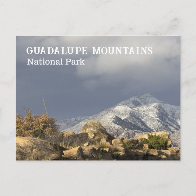 Winter, Guadalupe-Gipfel, Guadalupe-Berge NP Postkarte (Vorderseite)