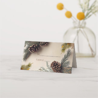 Winter Hochzeit Pine Cones Pine Needles Platzkarte