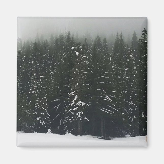 Winter im Bergwald, Oregon Magnet (Vorne)