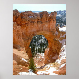 Winter im Bryce Schlucht-Nationalpark Poster