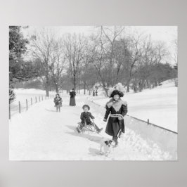 Winter im Central Park, 1900. Vintages Foto Poster