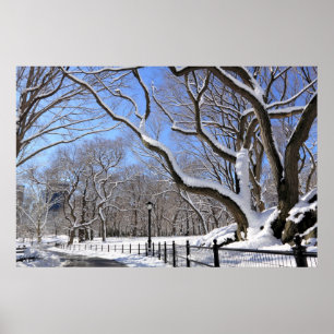 Winter im Central Park, New York City Poster