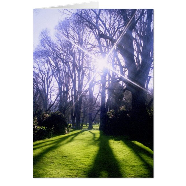 Winter im Fitzroy Gardens (Vorne)