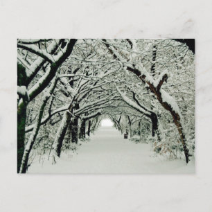 Winter im Heaton Park Postkarte