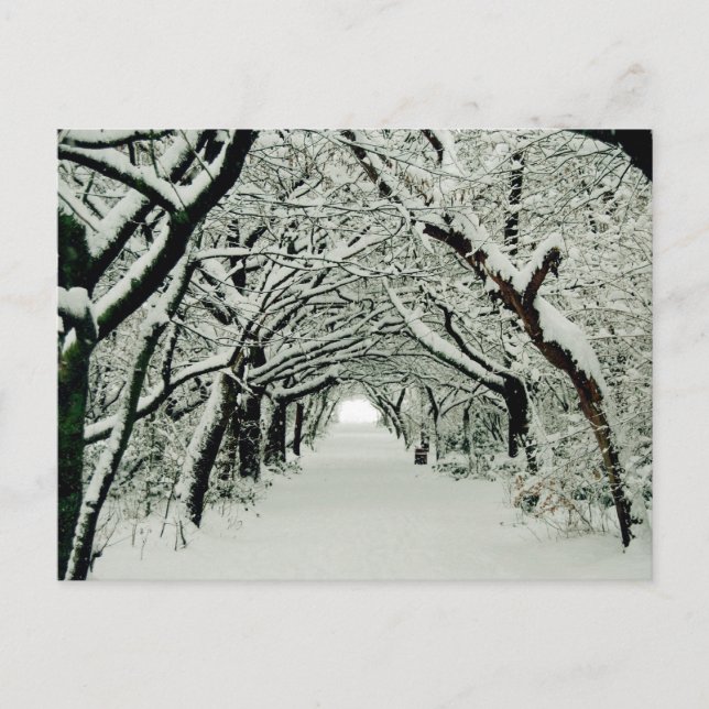 Winter im Heaton Park Postkarte (Vorderseite)