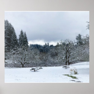 Winter im Park, Wilsonville, OR Poster