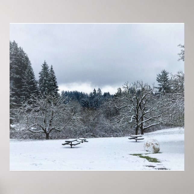 Winter im Park, Wilsonville, OR Poster (Vorne)