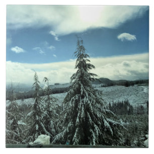 Winter im Tillamook Staat Forest, Oregon Fliese