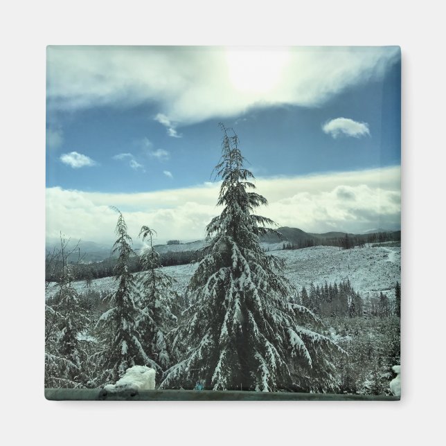 Winter im Tillamook Staat Forest, Oregon Magnet (Vorne)