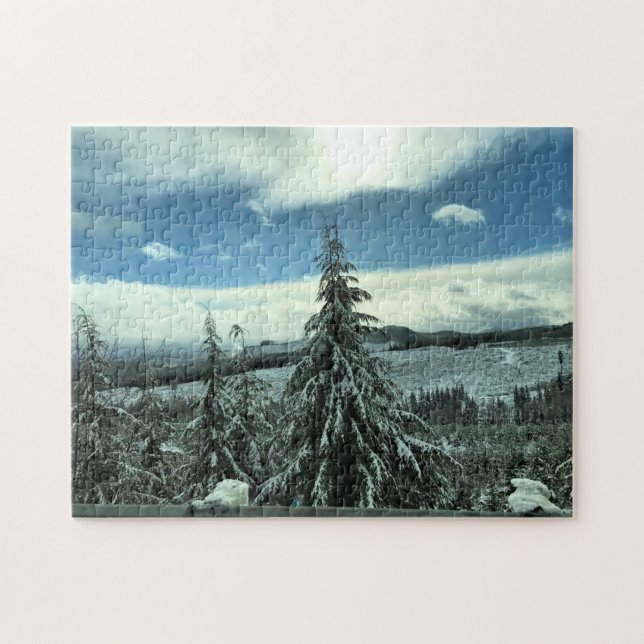Winter im Tillamook Staat Forest, Oregon Puzzle (Horizontal)