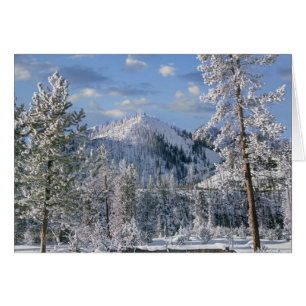 Winter im Yellowstone-Nationalpark, Wyoming
