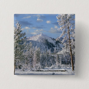 Winter im Yellowstone Nationalpark, Wyoming Button