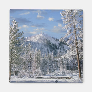 Winter im Yellowstone Nationalpark, Wyoming Magnet