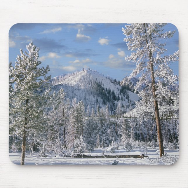 Winter im Yellowstone Nationalpark, Wyoming Mousepad (Vorne)