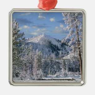 Winter im Yellowstone Nationalpark, Wyoming Ornament Aus Metall